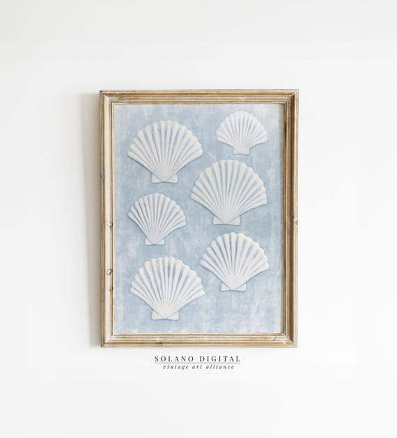 Sea Shells Vintage Coastal Art Print