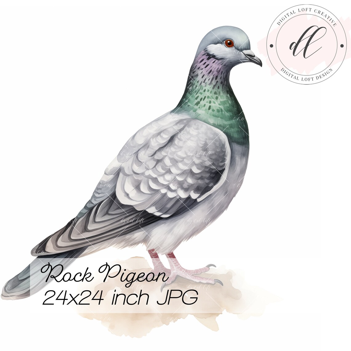 Rock Pigeon Iridescent Green Neck Watercolor Bird Portrait Poster