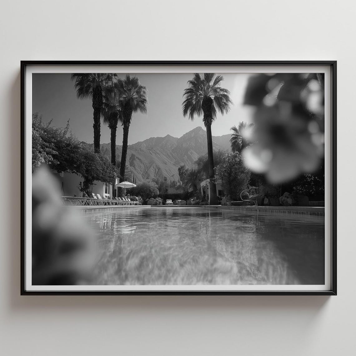 Palm Springs Pool Black and White Photography Palm Trees Poster