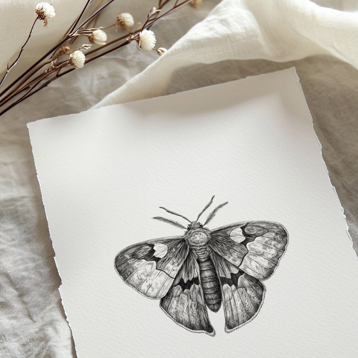 Moth Print, Dark Academia Minimalist Art Print - Image 4