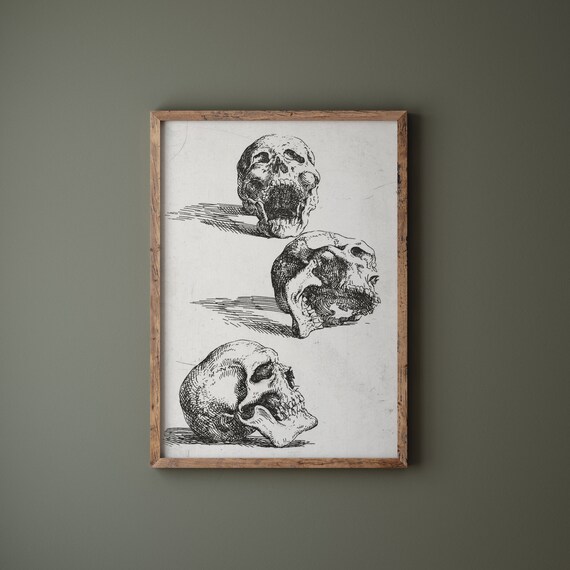 Three Human Skulls Vintage Anatomical Ink Study Gothic Art Print