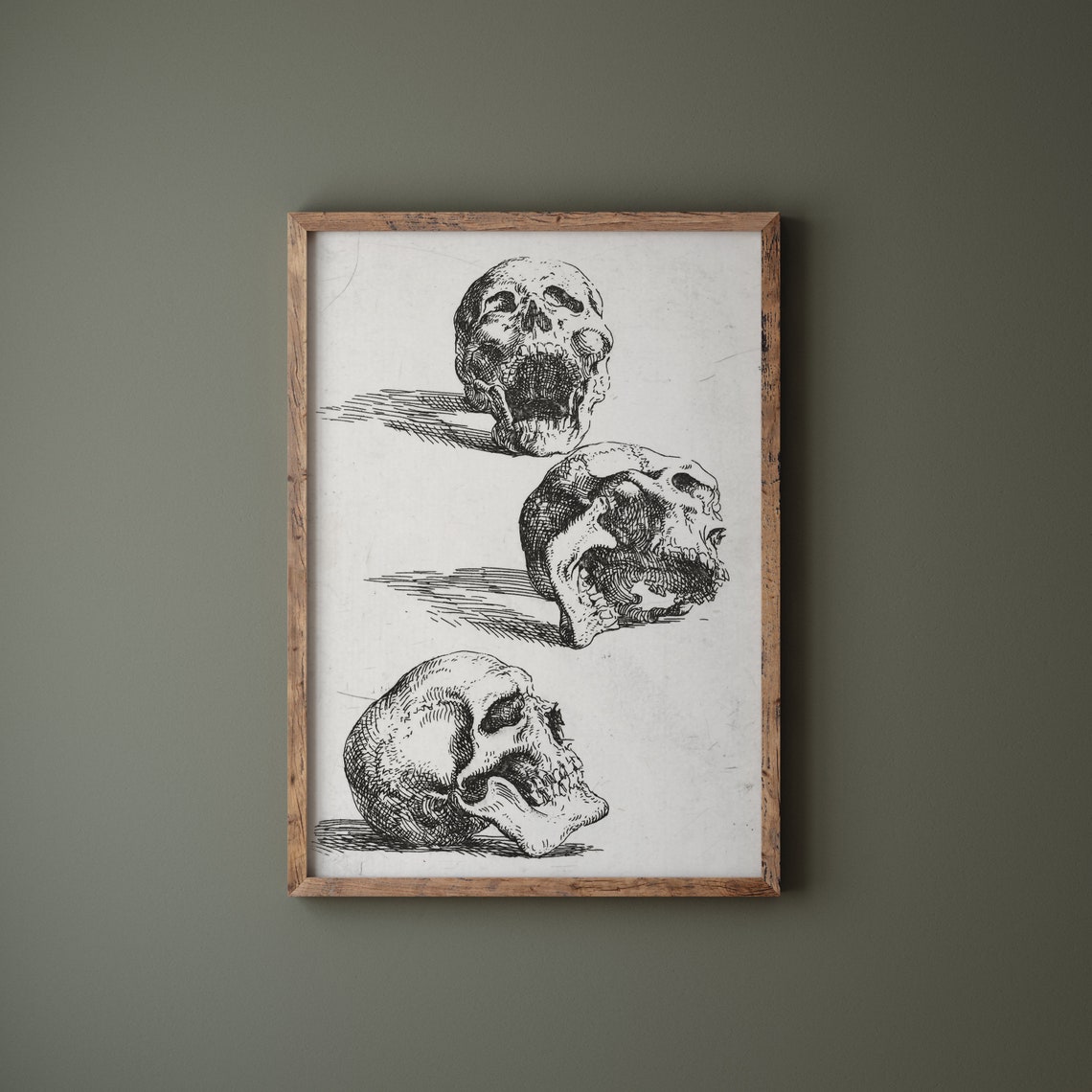 Three Human Skulls Vintage Anatomical Ink Study Gothic Art Print