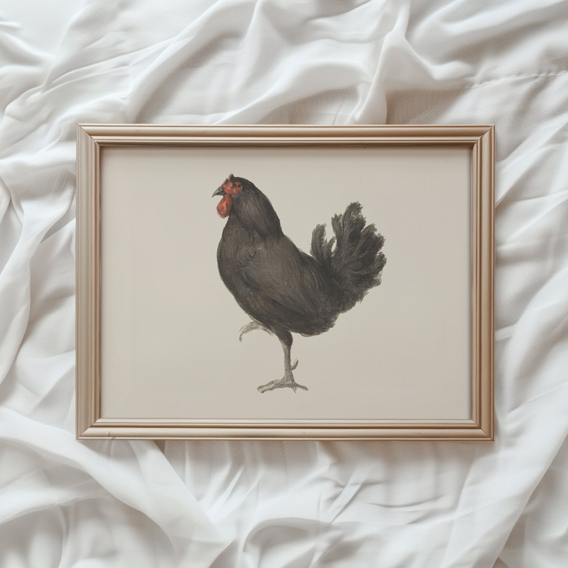 Black Rooster Vintage Farm Bird Painting Rustic Kitchen Art Print
