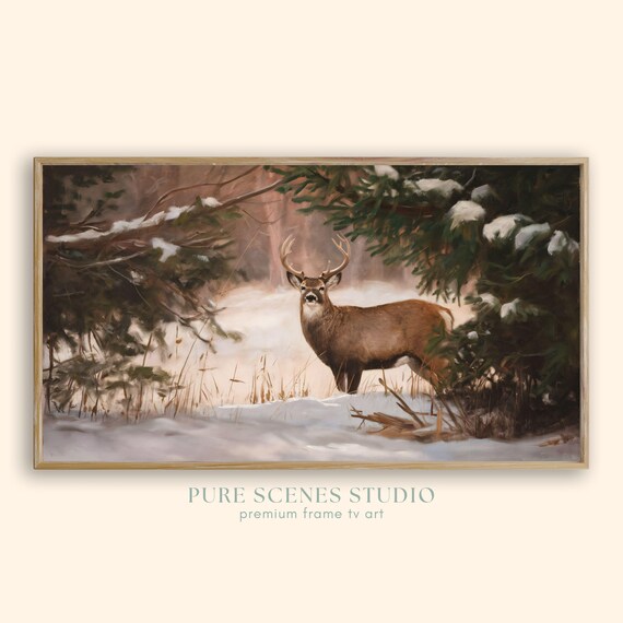 White Tailed Deer Buck Snowy Pine Forest Winter Wildlife Poster