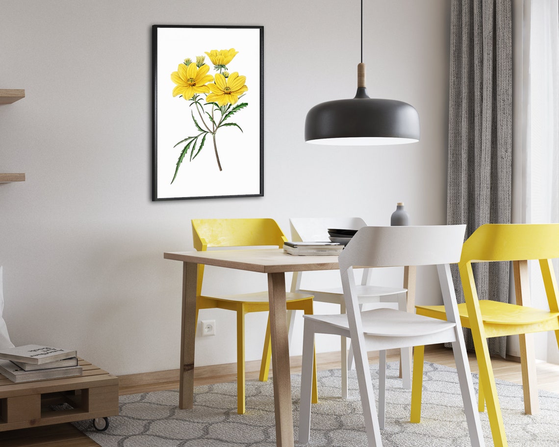 Yellow Cosmos Flower Vintage Botanical Illustration Cheerful Poster - Image 2