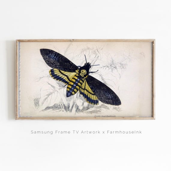 Samsung Frame Tv Art Deaths Moth Dark Neutral Halloween Decoration Bookish Fall Frametv Background Vintage Botanical