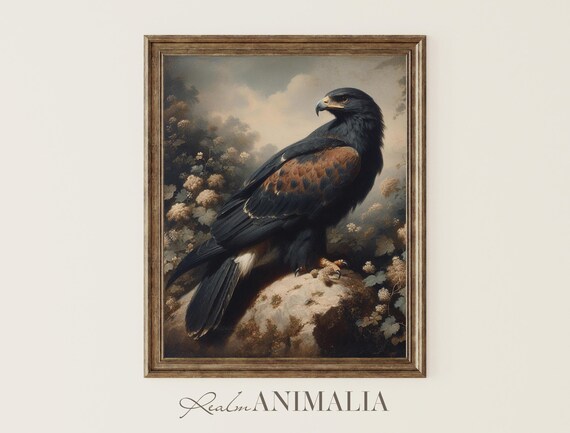 Black Hawk Art Print Vintage Bird Painting Moody Wildlife Wall Art Bird Of Prey Art Prints Botanical Cottagecore Decor Hk004