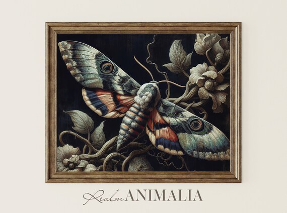 Vintage Moth Oil Painting Dark Botanical Eyed Wings Gothic Insect Poster