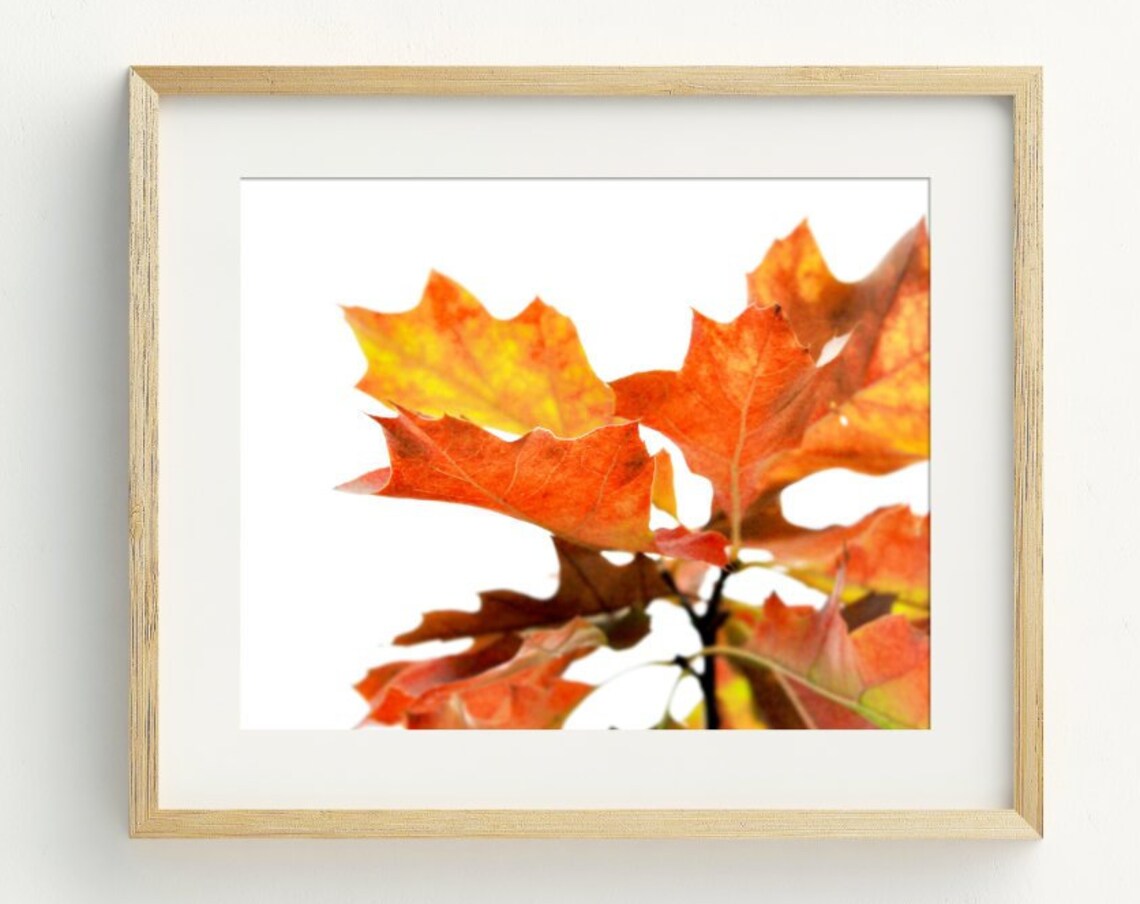 Autumn Leaves Photography Art Print, Fall Wall Decor