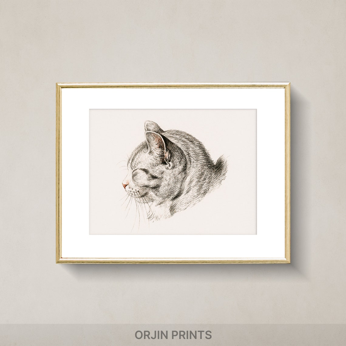 Sleeping Tabby Cat Sketch Minimalist Feline Drawing Art Poster