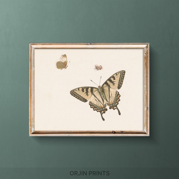 Butterfly Trio Art Print Instant Nature Wall Decor Home Decoration Butterfly Illustration Orjin Prints 301