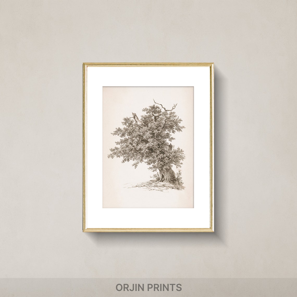 Ancient Tree Art Vintage Nature Print Wall Decor Wall Art Print Orjin Prints 456