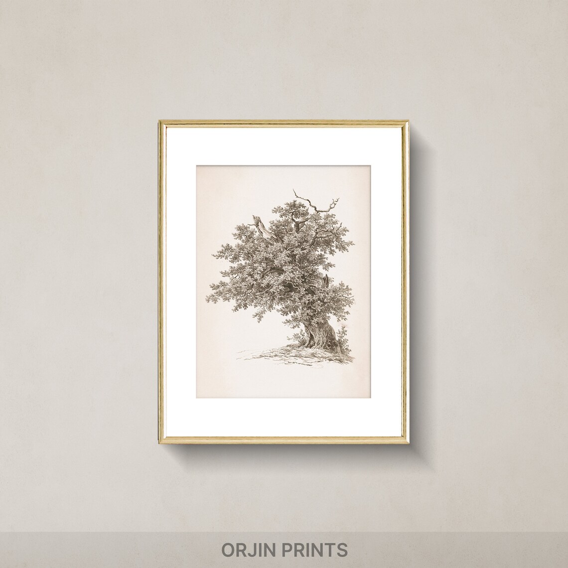 Gnarled Old Oak Tree Sepia Engraving Vintage Nature Art Poster