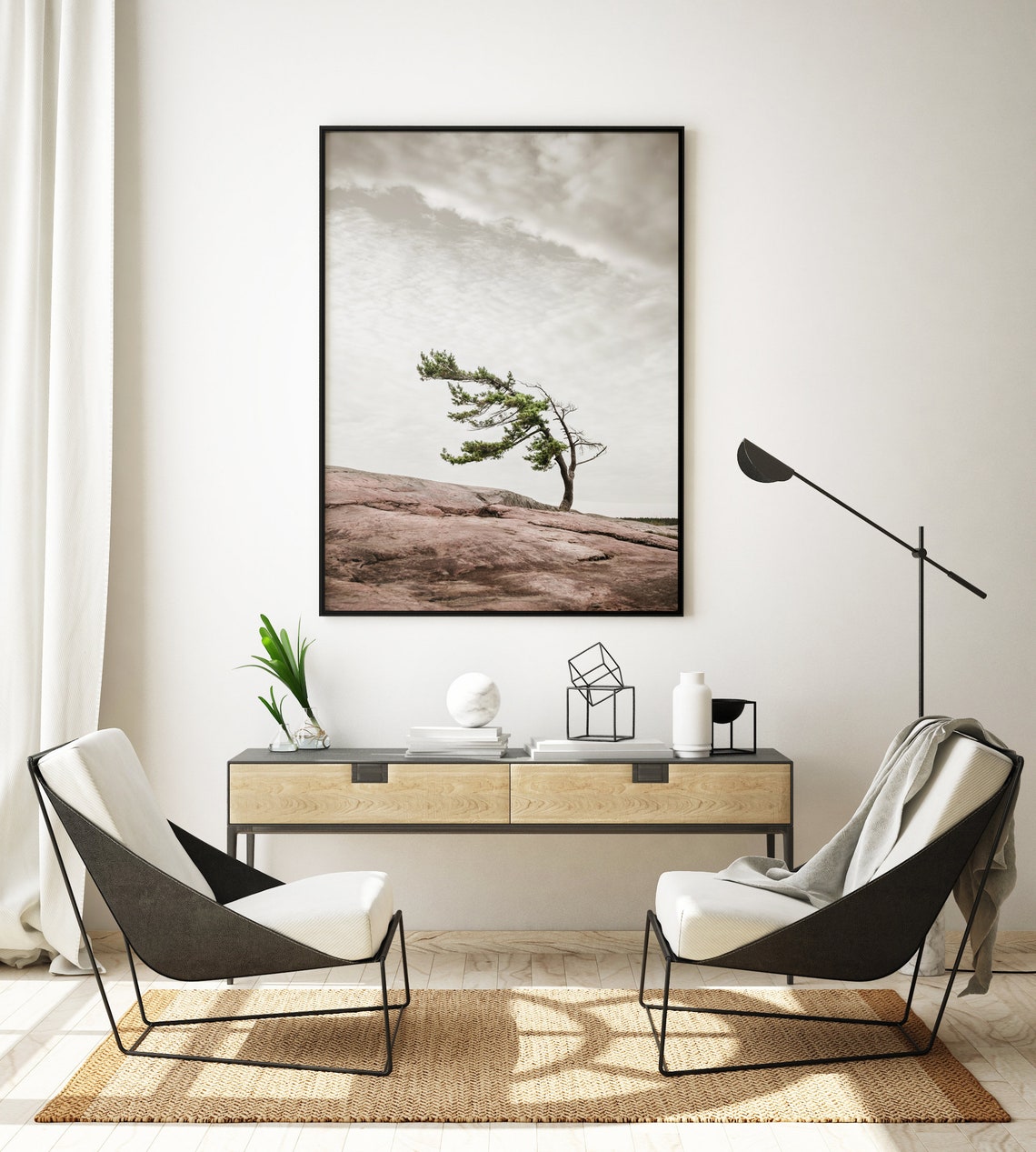 Windswept Pine Tree Rocky Shore Neutral Nature Photo Art Poster