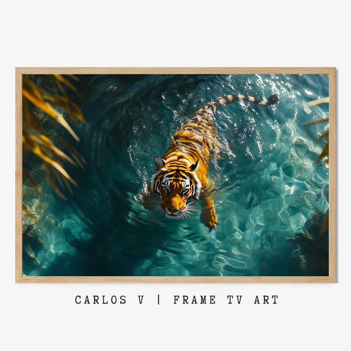 Tiger Swimming in Clear Turquoise Water Overhead View Wildlife Art Poster