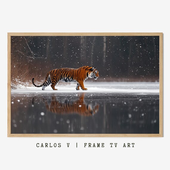 Tiger Crossing Frozen Lake Falling Snow Wildlife Reflection Poster