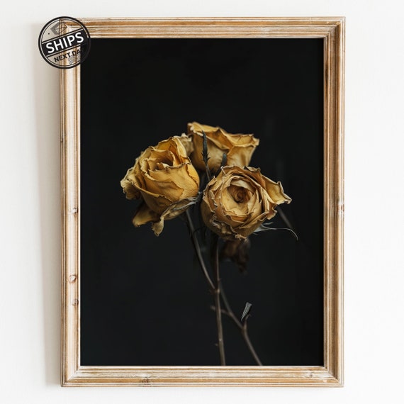 Vintage Moody Yellow Rose Art Print, Botanical