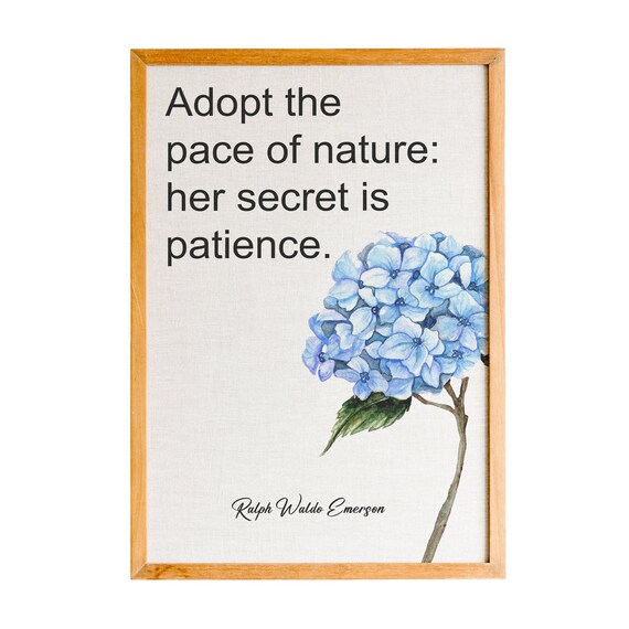 Ralph Waldo Emerson Adopt the Pace of Nature Hydrangea Quote Poster