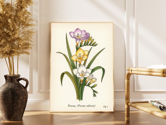 Freesia Flower Art Print Vintage Botanical Illustration