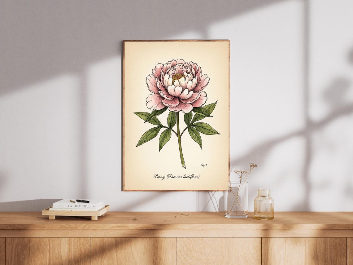Peony Botanical Art Print Vintage Pink Floral Illustration