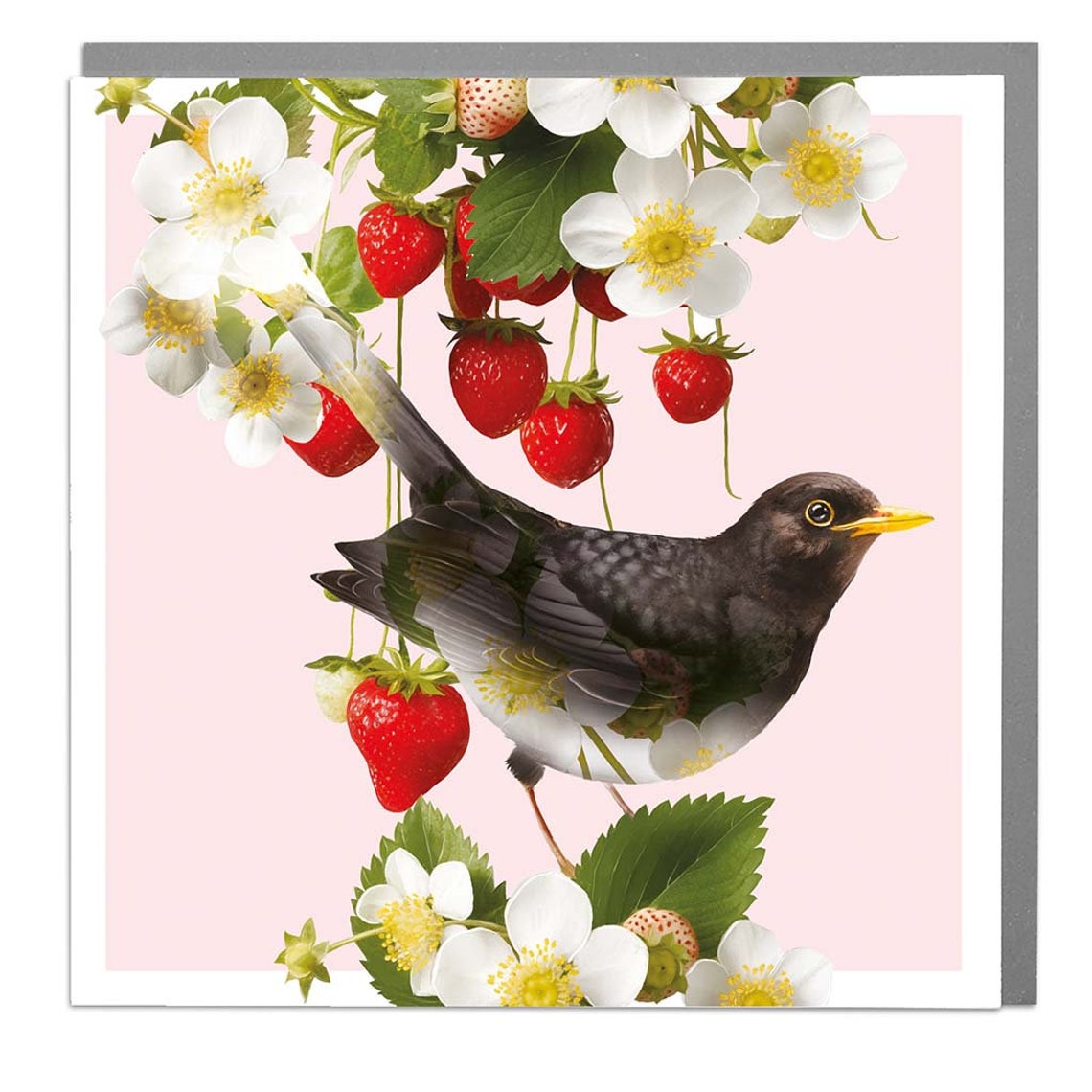 Blackbird And Strawberries Art Print