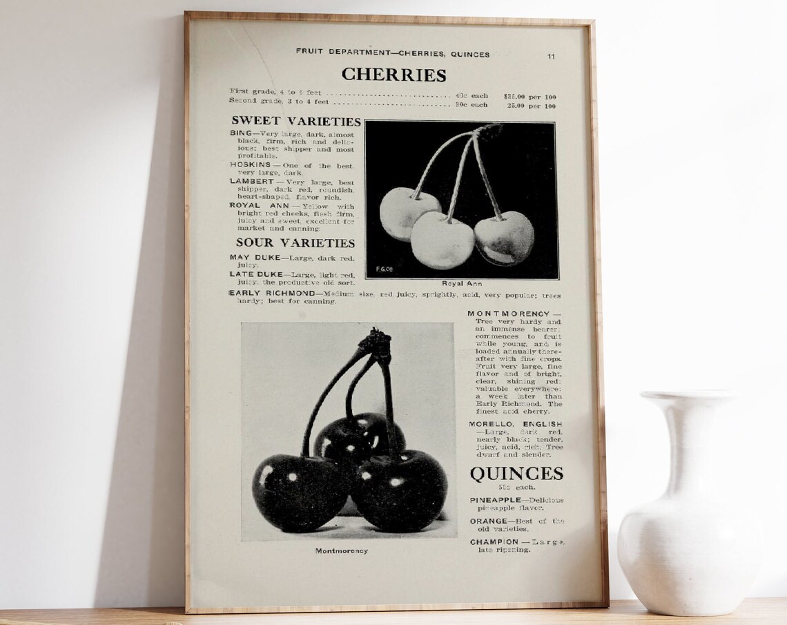Cherry Vintage Book Print, Retro Kitchen Art Print