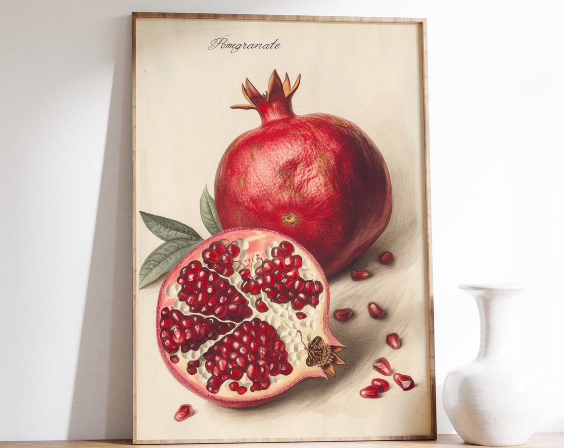 Pomegranate - Vintage Botanical