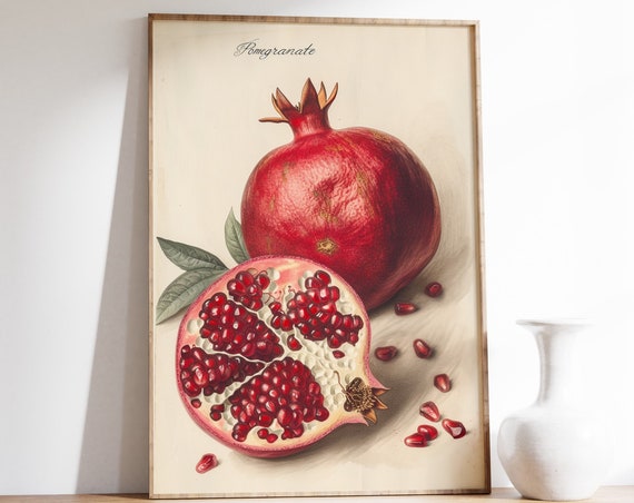 Pomegranate - Vintage Botanical