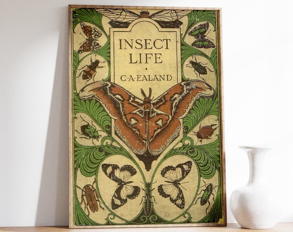 Insect Life Old Book Cover Print Insect Life Poster Vintage Insect Illustration Art Nouveau Botanical Poster Butterfly Print Retro Art