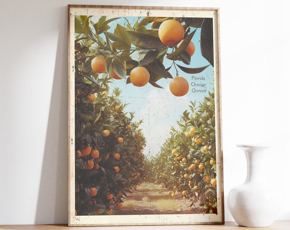 Vintage Florida Orange Grove Travel Poster, Golden Fruit