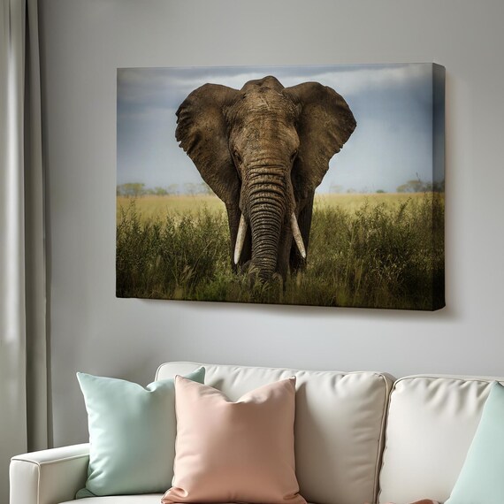 Lone Elephant Bull Facing Camera In Tall Grass Savanna Photo Poster