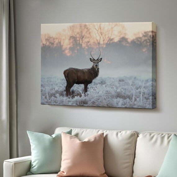 Majestic Deer Stag in Frosty Winter Morning Mist Wildlife Photography Poster