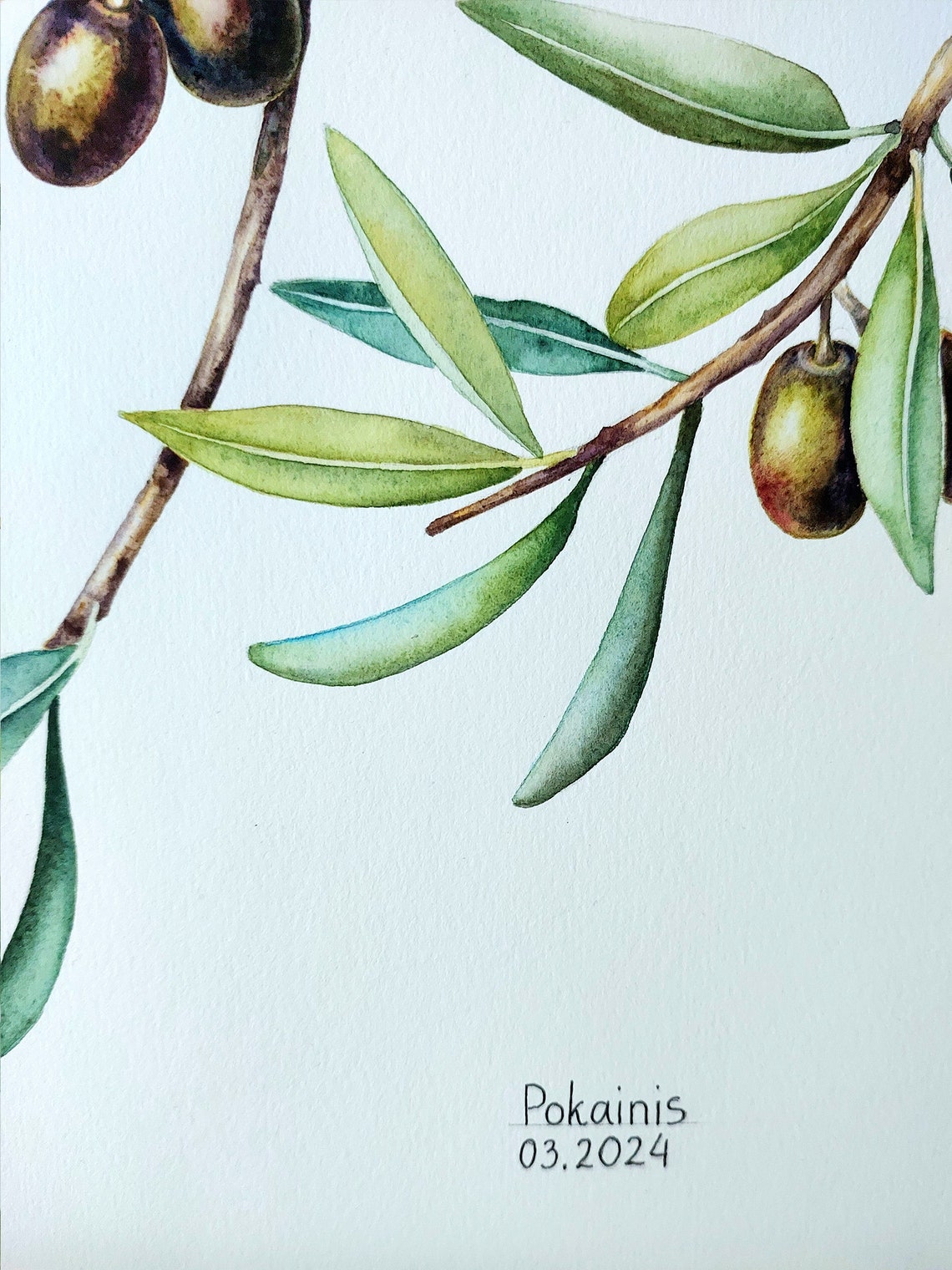 Olive Branch Watercolor Ripe Black Olives Botanical Art Poster - Image 4