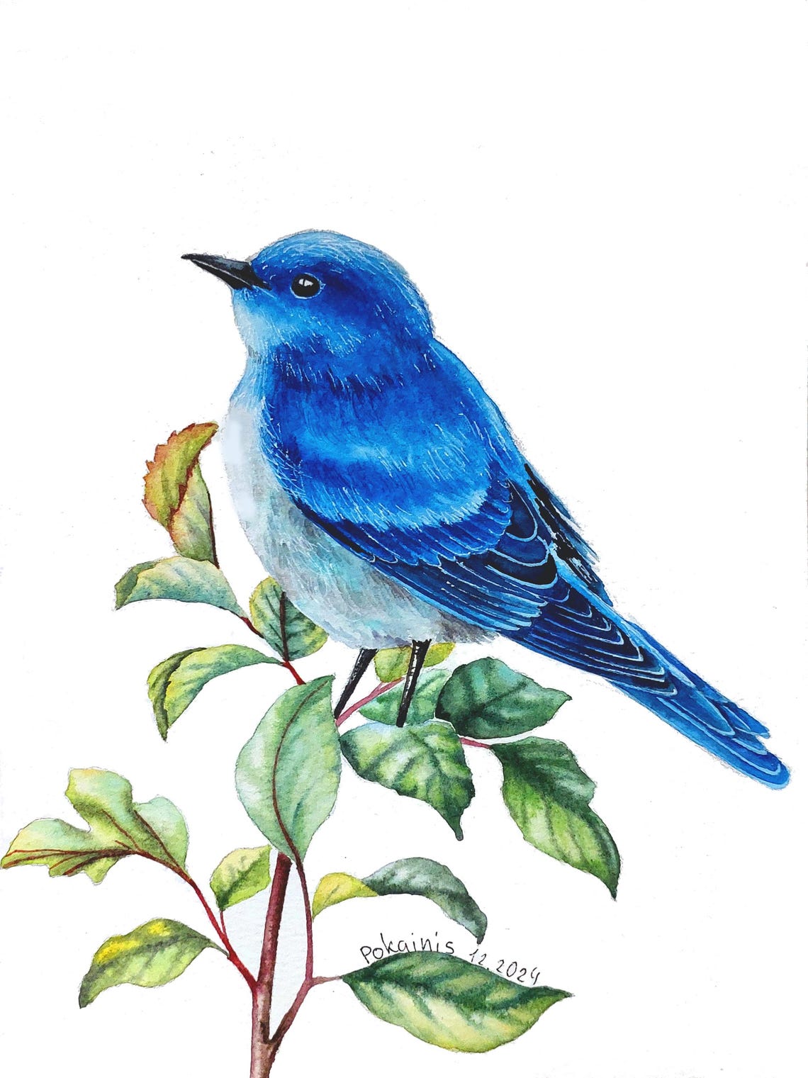 Vivid Blue Songbird Perched on Leafy Branch Watercolor Poster
