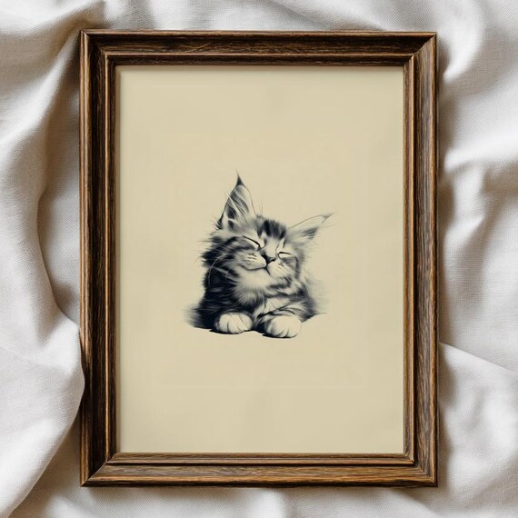 Sleeping Maine Coon Kitten Cozy Rest Pencil Sketch Art Print