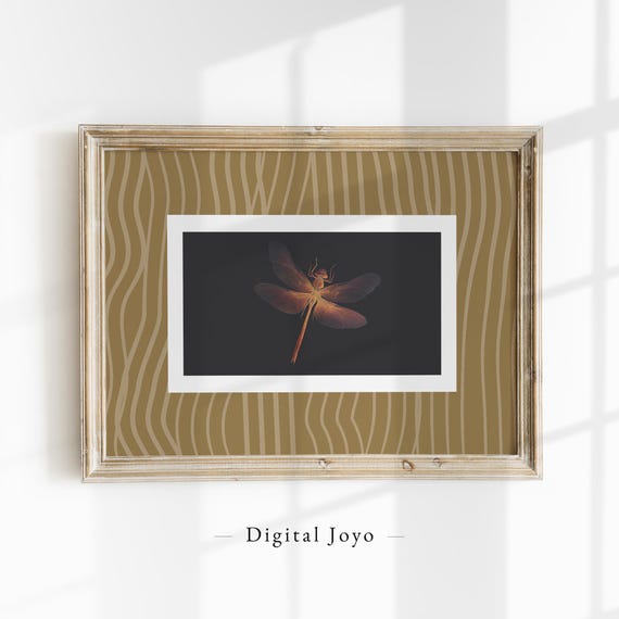 Orange Dragonfly Wall Art Print