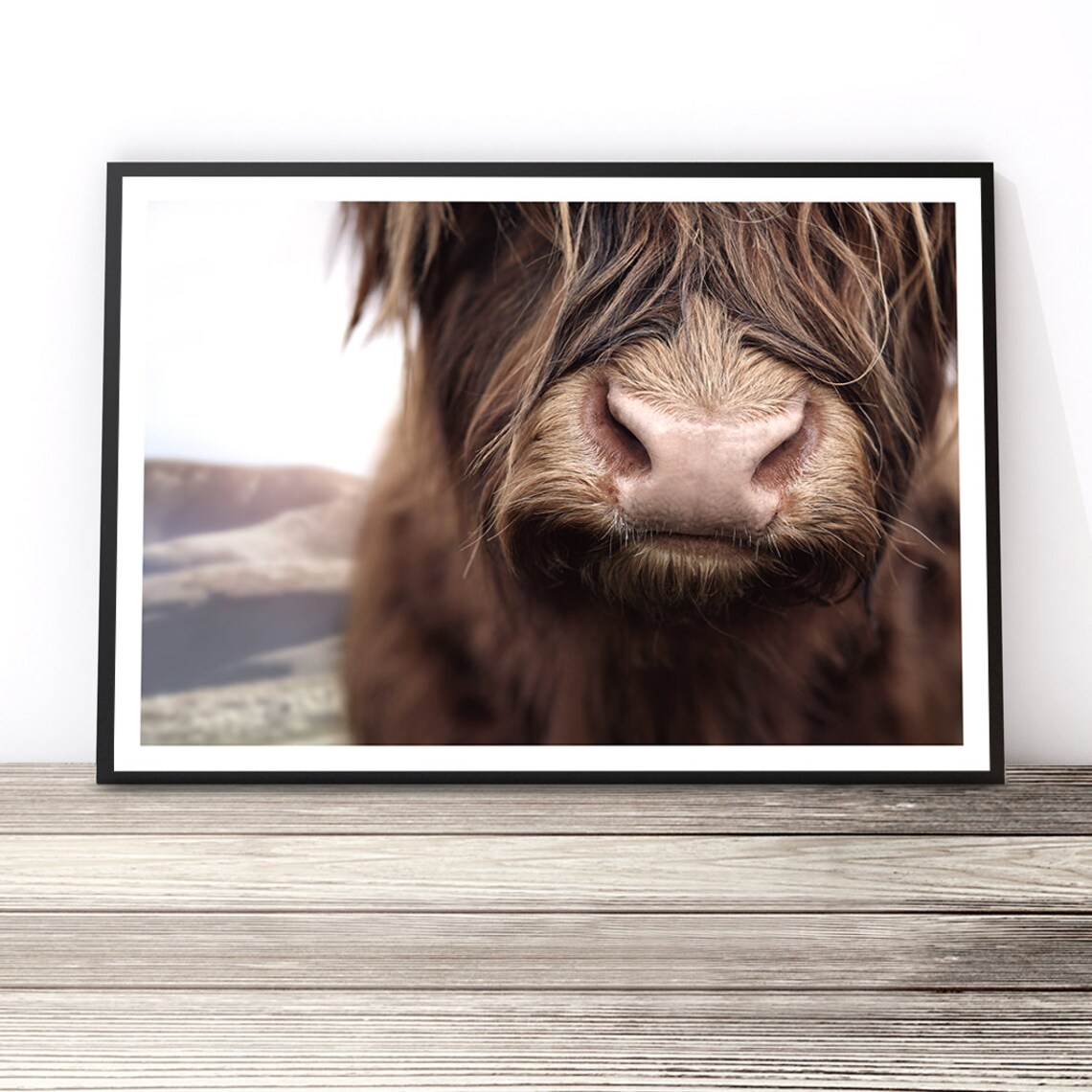 Highland Cow Boho Art Print, Animal Wall Decor