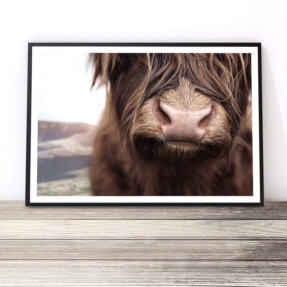Highland Cow Boho Art Print, Animal Wall Decor