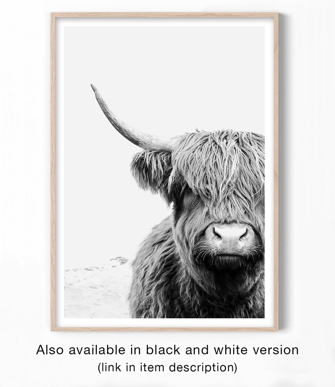 Highland Cow Man Cave Decor Poster - Image 2