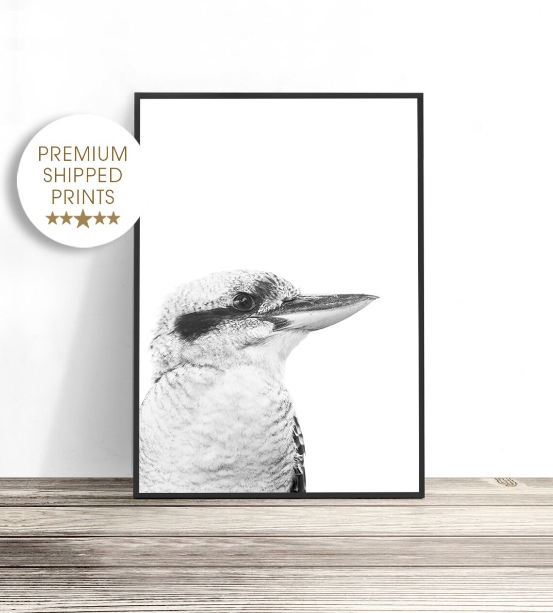 Kookaburra, Australian Bird Photography Print