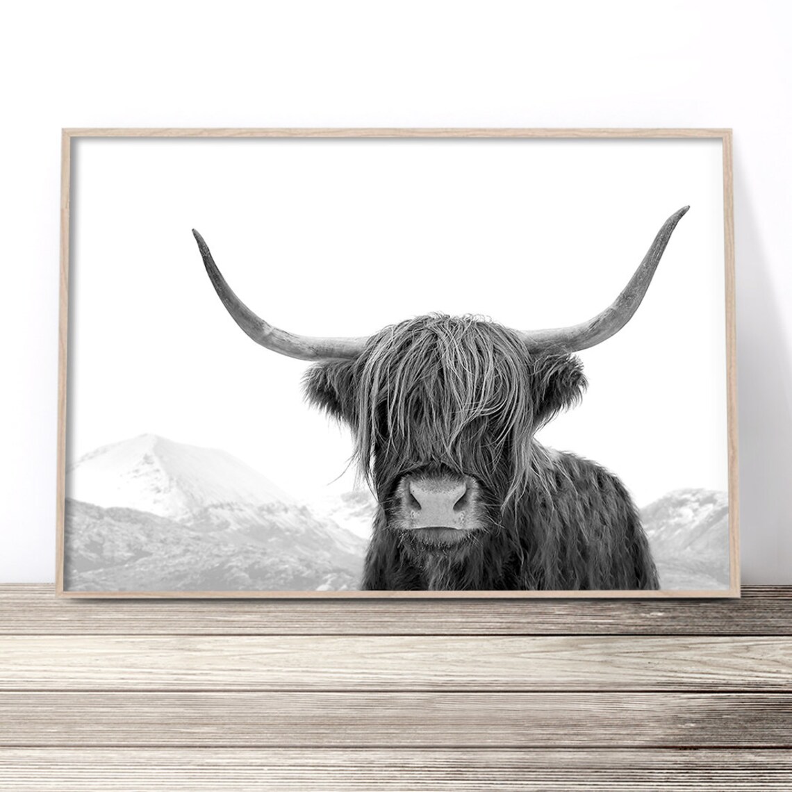 Highland Cow Black and White Art Print, Scottish Cow