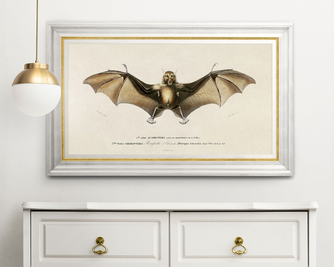 Halloween Bat Art Print, Spooky Frame TV Artwork - Image 2