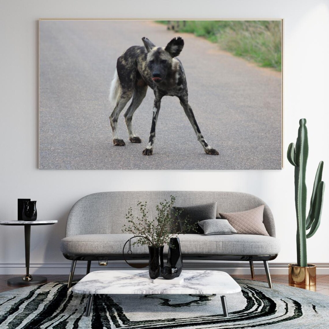 African Wild Dog Standing On A Safari Road Looking At Camera Poster