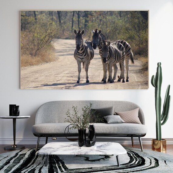 Three Zebras Standing On A Dusty Safari Road Facing The Camera Poster