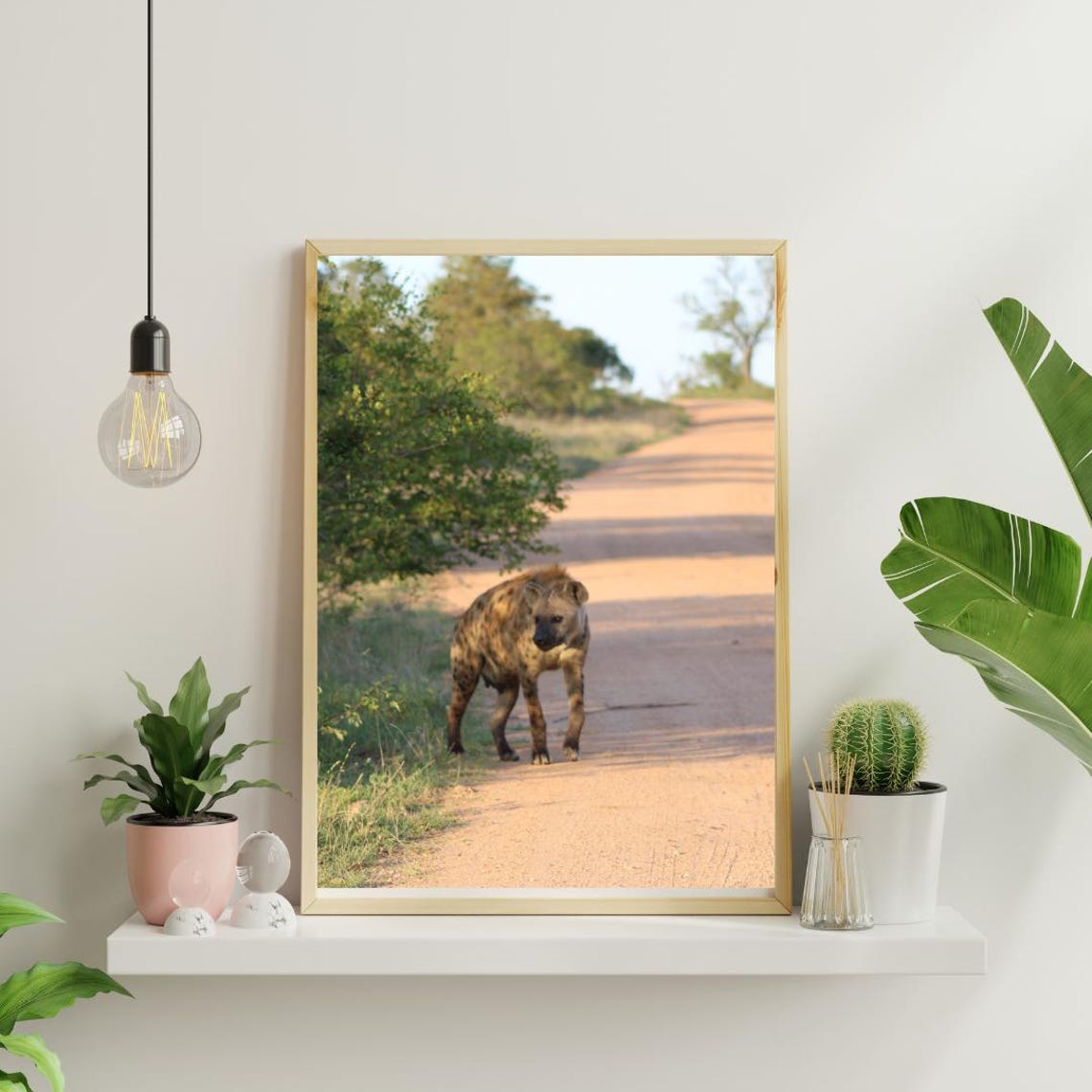 Hyena Art, Africa's Game Reserves - Image 4