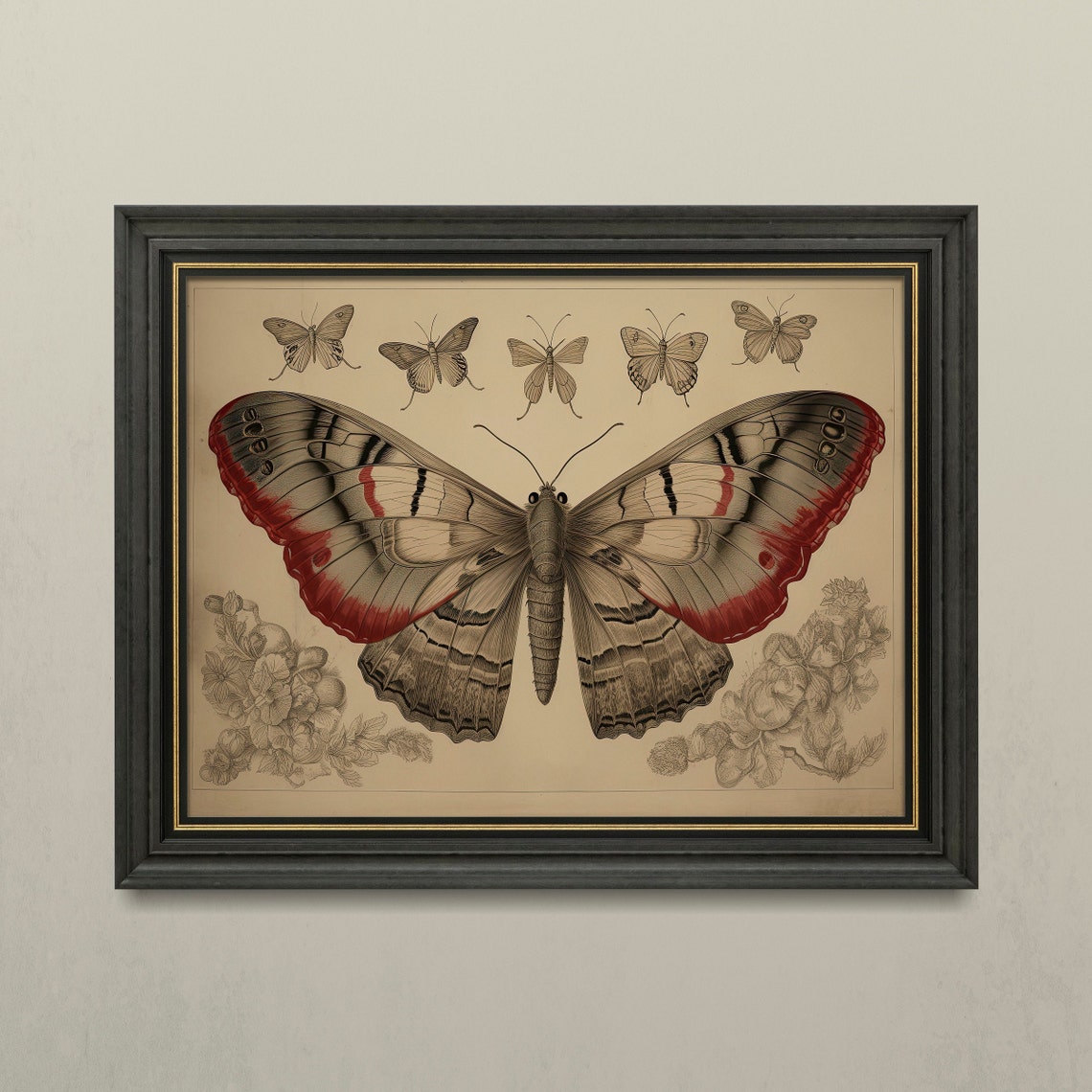 Butterfly Scientific Illustration Vintage Dark Academia Wall Poster