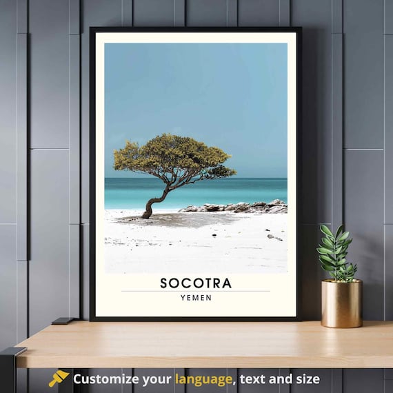 Socotra Yemen Lone Tree White Sand Beach Turquoise Sea Poster