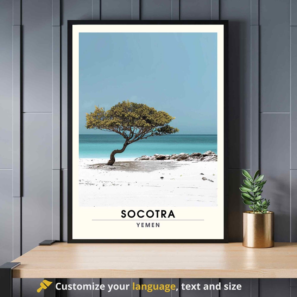 Socotra Yemen Lone Tree White Sand Beach Turquoise Sea Poster