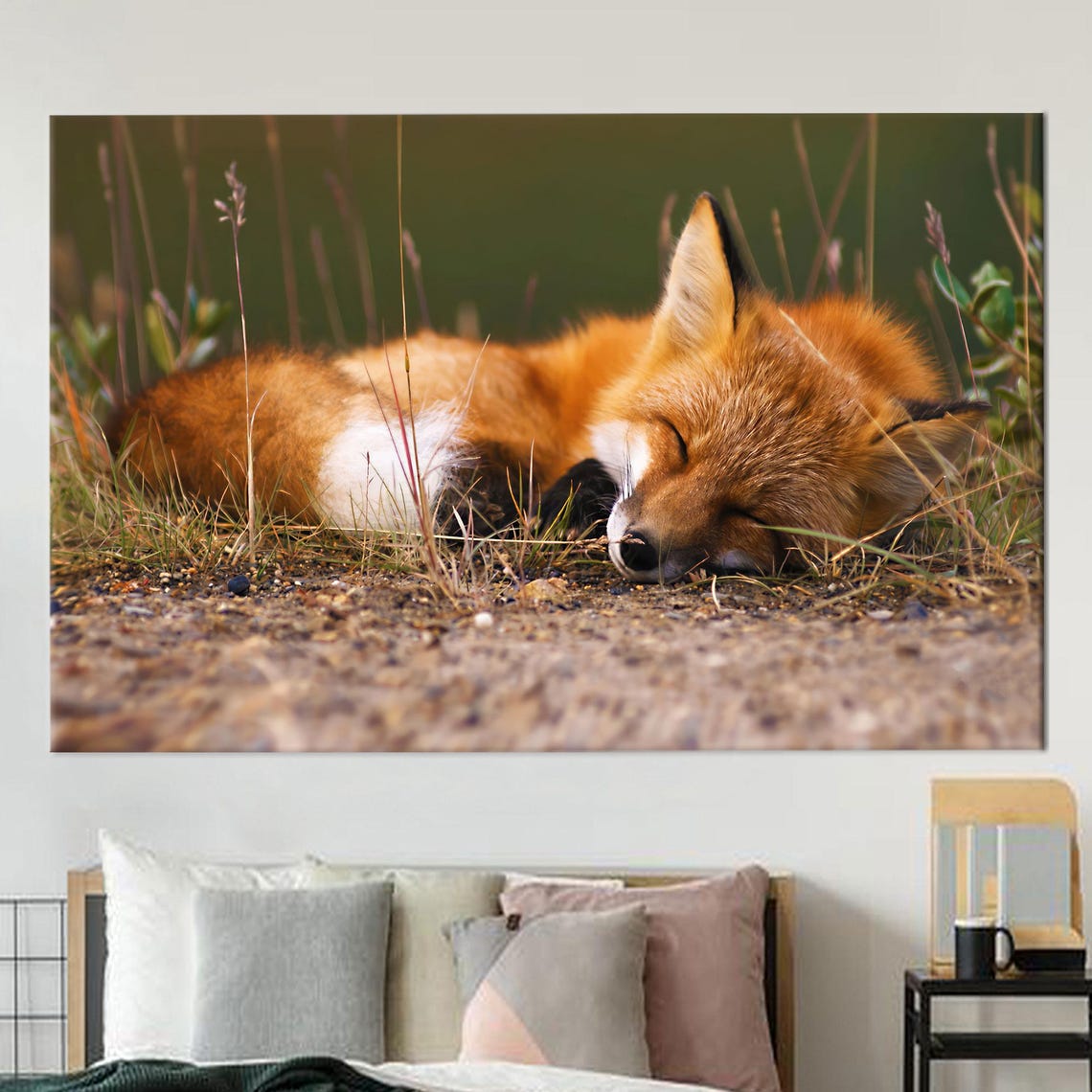 Sleeping Red Fox Curled Up Peacefully In The Grass Wildlife Poster