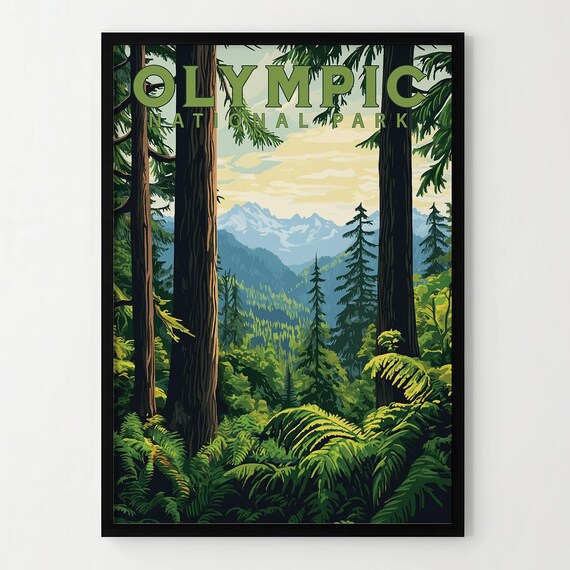 Olympic National Park Rainforest Ferns Misty Mountain View Poster